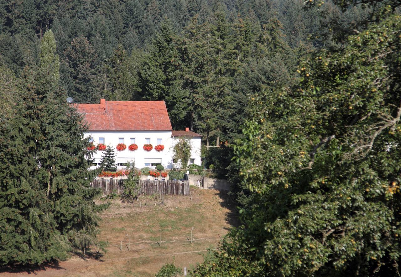 Haus Sonnenschein Otel Üdersdorf Dış mekan fotoğraf